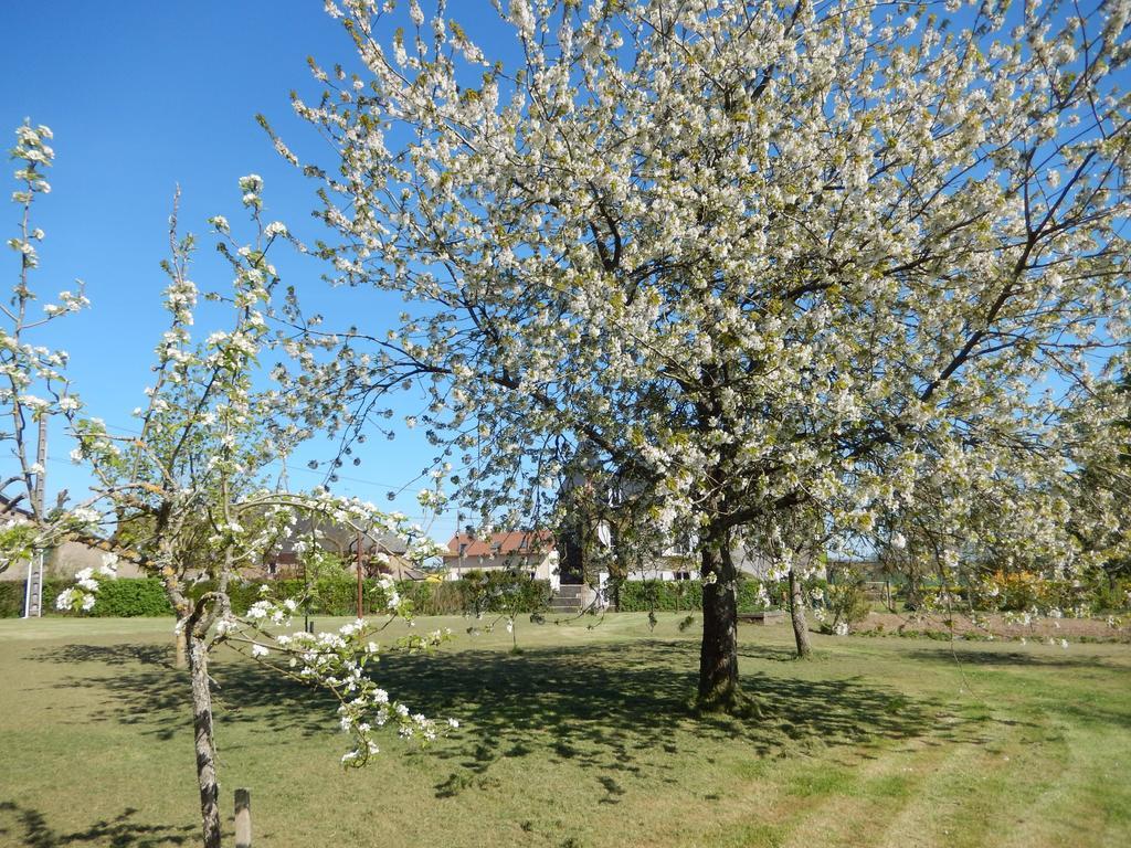 Crux-la-Ville Chambres D'Hotes - Domaine Des Perrieres מראה חיצוני תמונה